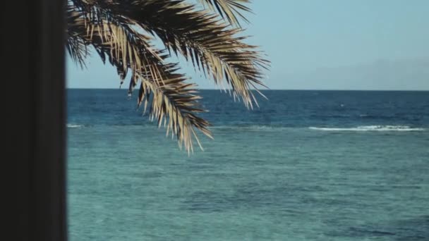 Ventana con vista al mar, olas y palmeras, cielo azul. Mar azul y cielo azul, horizonte, Egipto, Sinaí, 4k — Vídeos de Stock