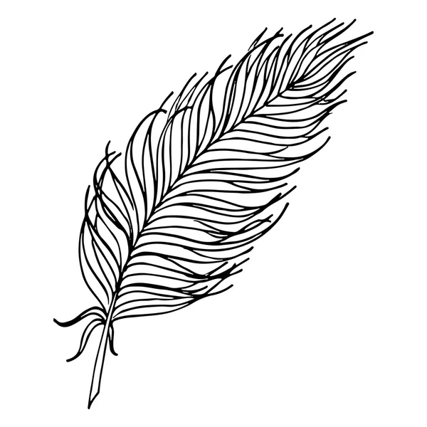 单色黑色和白色的鸟羽毛矢量草绘的艺术 — 图库矢量图片