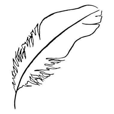 Tek renkli siyah ve beyaz kuş tüyü kabataslak sanat vektör