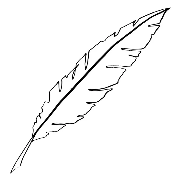 Монохромное черно-белое векторное перо птицы — стоковый вектор