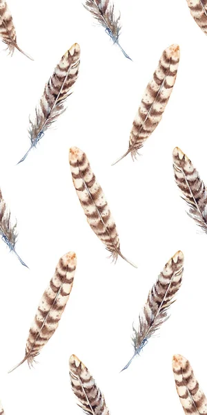 Aquarel bruin beige stripe veer naadloze patroon — Stockfoto
