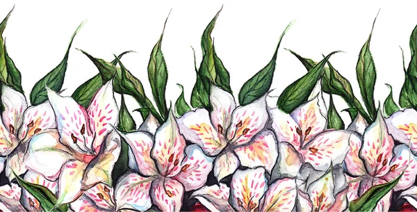 Akvarell alstroemeria varrat nélküli virágmintás határon háttér — Stock Fotó