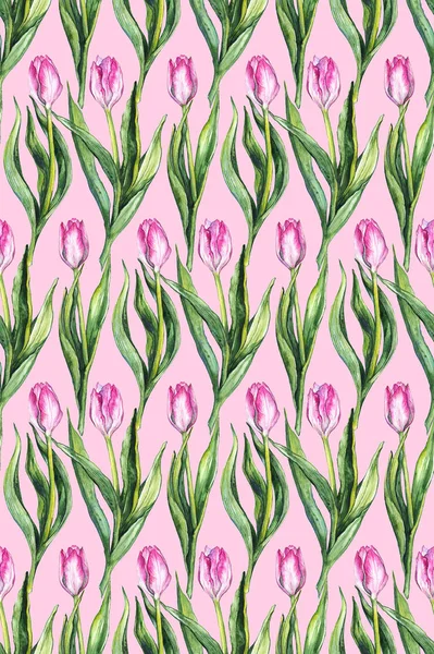 수채화 꽃 꽃 핑크 튤립 원활한 패턴 배경 — 스톡 사진