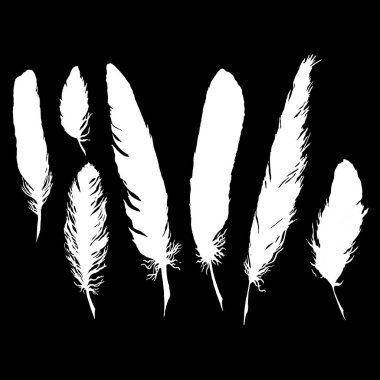 Siluet siyah ve beyaz siyah beyaz tüy izole vektör ayarla