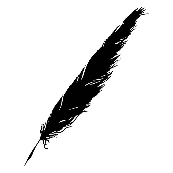 Silhouette black and white monochrome feather isolated vector — Stock Vector