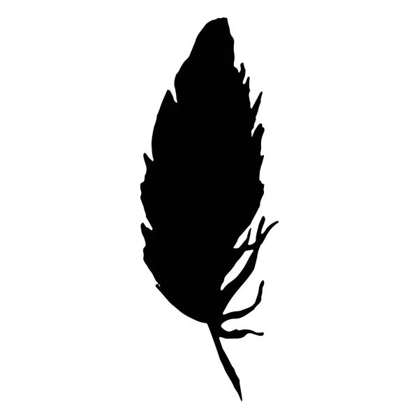 Силуэт черно-белый одноцветный изолированный вектор перьев — стоковый вектор