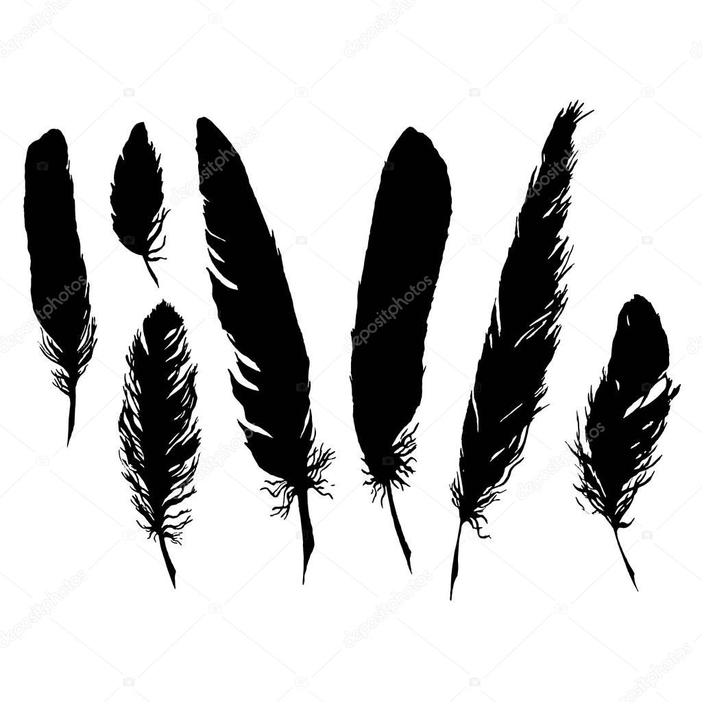 Download Silhouette black and white monochrome feather set isolated ...