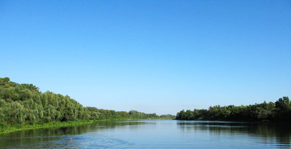 Nature river Don wood forest summer landscape