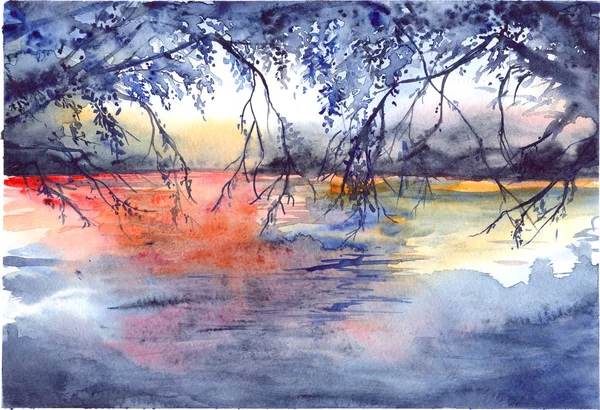 Акварель вечірній захід сонця гілки дерева річки озерний пейзаж — стокове фото