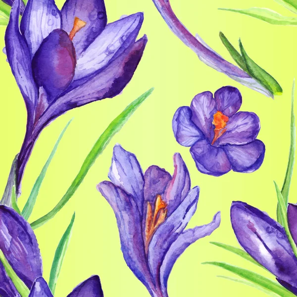 Aquarela violeta roxo crocus flor sem costura padrão de fundo vetor — Vetor de Stock