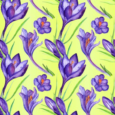 Suluboya menekşe mor Çiğdem çiçek Dikişsiz desen arka plan vektör