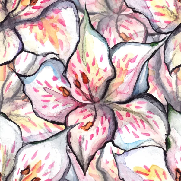 Akvarell alstroemeria varrat nélküli virágmintás textil háttér vector — Stock Vector