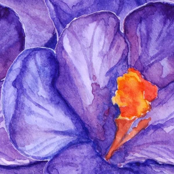 Aquarela violeta roxo crocus flor sem costura padrão de fundo vetor — Vetor de Stock