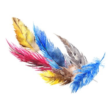 Sulu Boya renkli kuş tüyü soyut kompozisyon izole