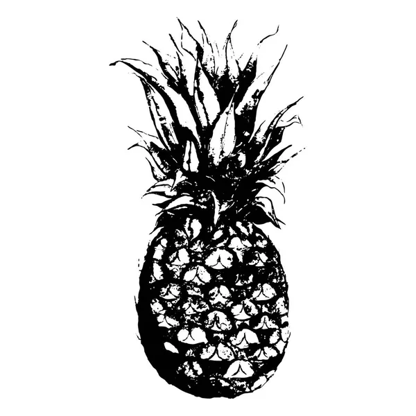 Monocromo fruta de piña dibujado a mano esbozado vector aislado — Archivo Imágenes Vectoriales