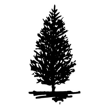 Tek renkli iğne yapraklı ağaç siluet kabataslak hat sanat izole vektör
