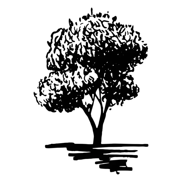 Monochromatyczne drzewo naszkicowanej linii sylwetka sztuka na białym tle wektor — Wektor stockowy