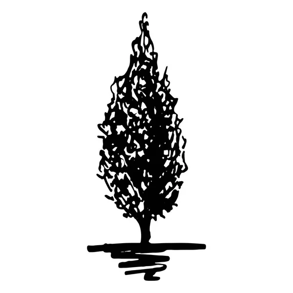 Monochromatyczne drzewo naszkicowanej linii sylwetka sztuka na białym tle wektor — Wektor stockowy