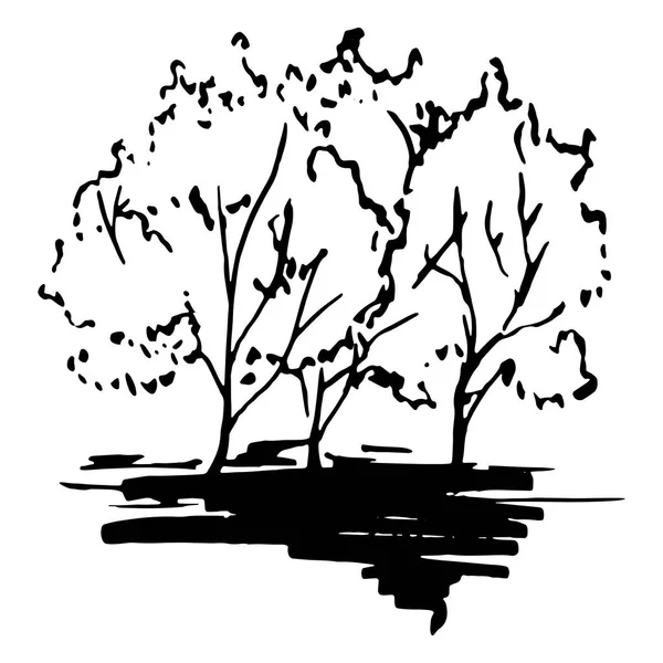 Fekete-fehér fák sziluettje előrajzolt line art elszigetelt vektor — Stock Vector