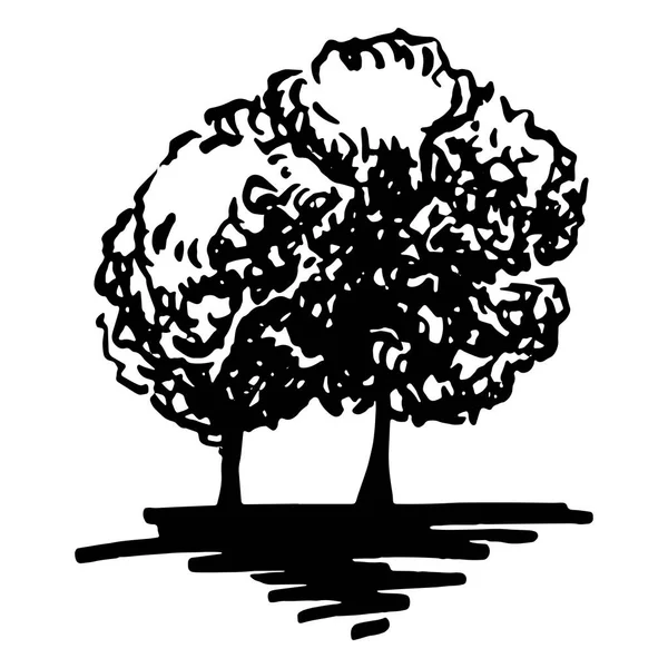 흑백 나무 실루엣 스케치 라인 아트 고립 된 벡터 — 스톡 벡터