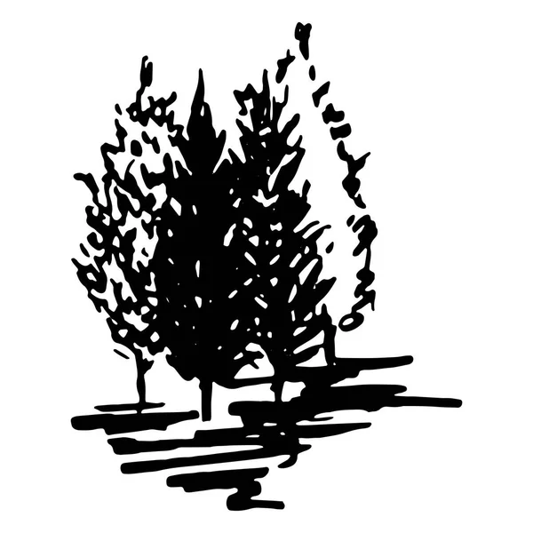 Monochroom bomen silhouet getekende lijn kunst geïsoleerde vector — Stockvector