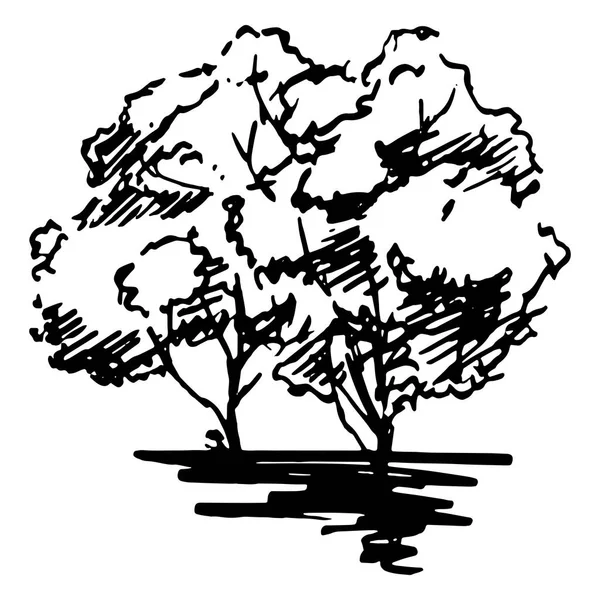 Monochroom bomen silhouet getekende lijn kunst geïsoleerde vector — Stockvector