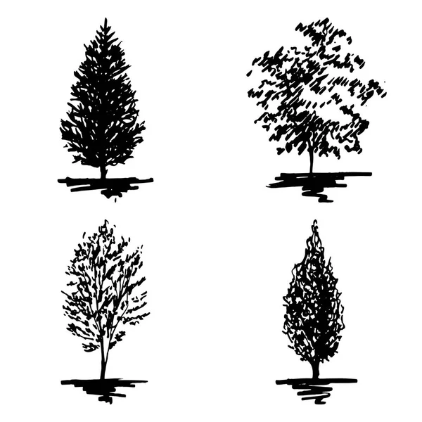 Monocromático árvore silhueta esboçado linha arte conjunto isolado vetor —  Vetores de Stock