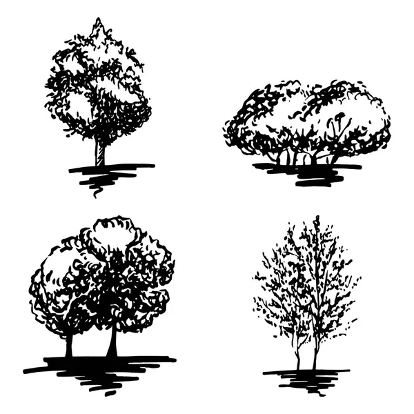 Monocromático árvore silhueta esboçado linha arte conjunto isolado vetor —  Vetores de Stock