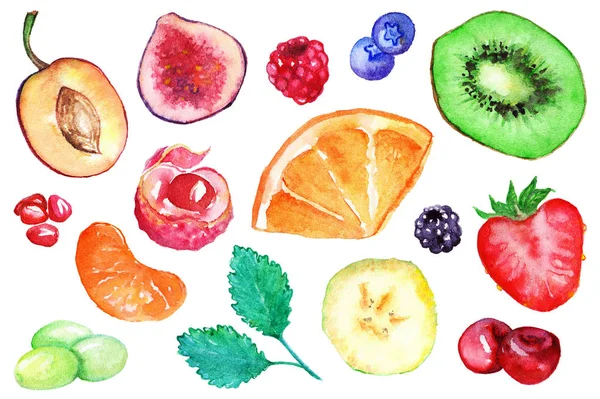 设置独立的水彩异国水果浆果切片 — 图库照片
