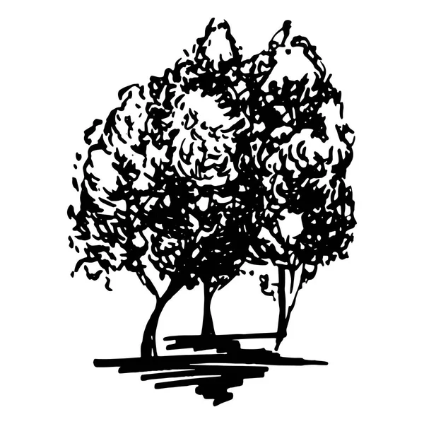 Árboles monocromáticos silueta dibujado línea arte aislado vector — Archivo Imágenes Vectoriales