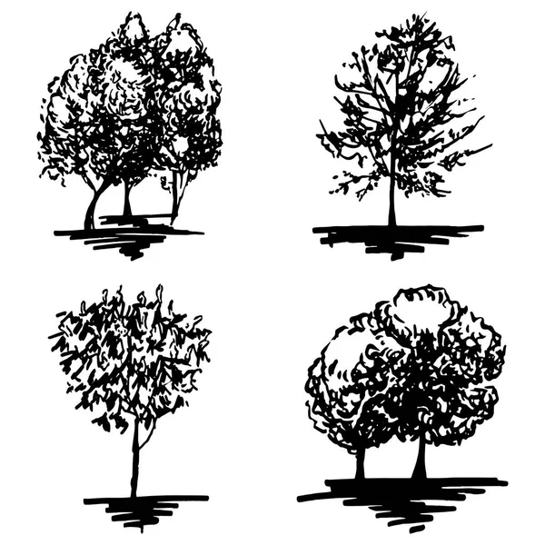 Monocromático árvore silhueta esboçado linha arte isolado conjunto vetor —  Vetores de Stock