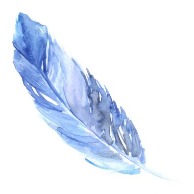Suluboya mavi mavi kuş rustik tüyü izole
