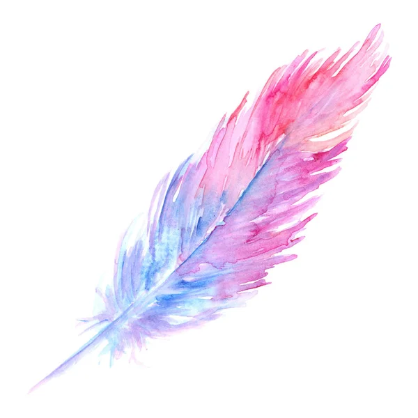 分離された水彩画ピンク紫青鳥素朴な羽 — ストック写真