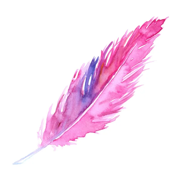 Watercolor pink purple crimson violet bird rustic feather isolated — Stock Photo, Image