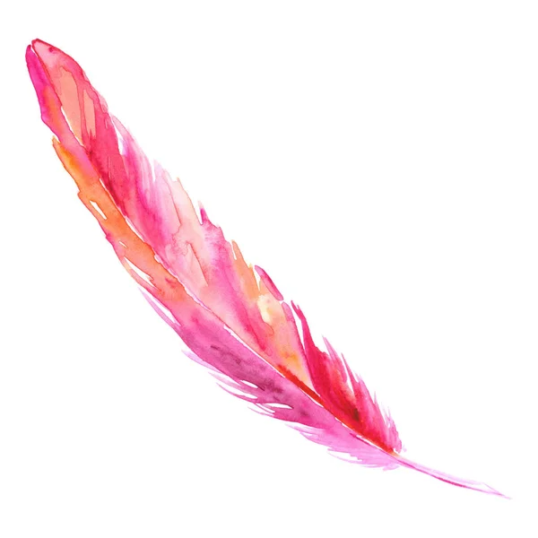 分離されたピンク オレンジ色の深紅色鳥水彩素朴な羽 — ストック写真