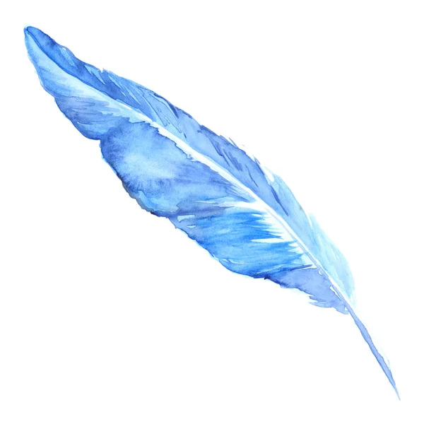 Изолированное голубое голубое голубое птичье перо — стоковое фото