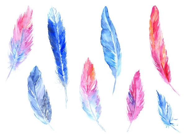 Watercolor colorful bird feather rustic isolated set — Stock Photo, Image