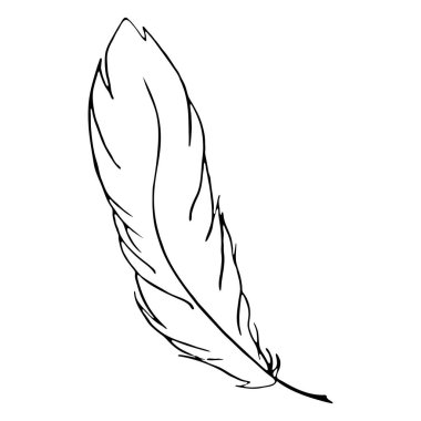 Tek renkli kuş tüyü hat sanat vektör