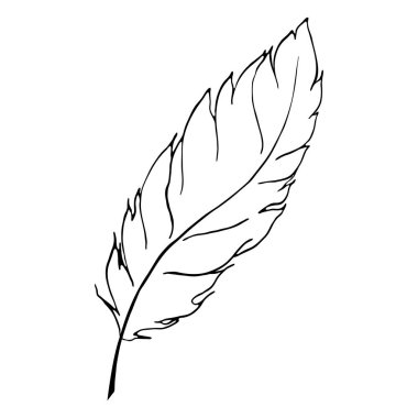 Tek renkli kuş tüyü hat sanat vektör