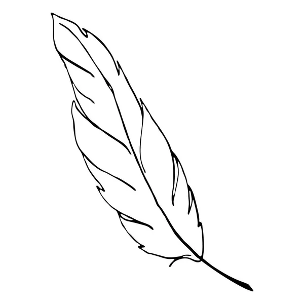 Monochrome noir et blanc oiseau plume ligne art vecteur — Image vectorielle