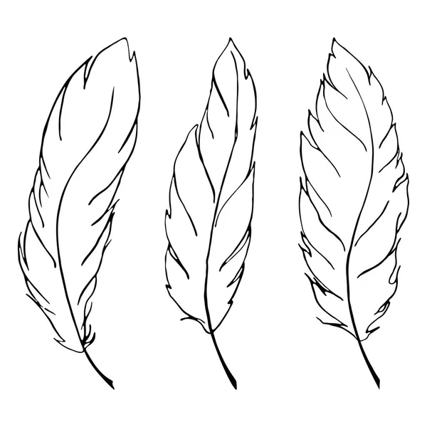 单色黑色和白色的鸟羽毛艺术线条设置矢量 — 图库矢量图片