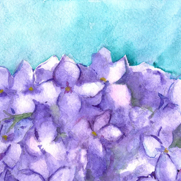 Watercolor flower floral hydrangea lilac nature composition illustration — Stock Photo, Image
