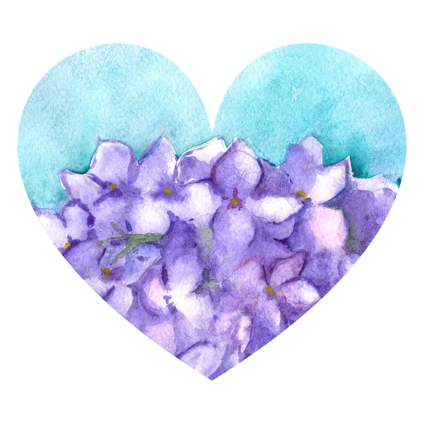 Watercolor flower floral hydrangea lilac nature heart love illustration isolated — Stock Photo, Image