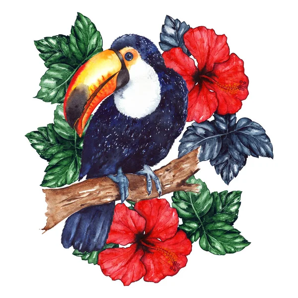 Akvarel exotických tropických zvířat pták Tukan květina ibišek, samostatný — Stock fotografie