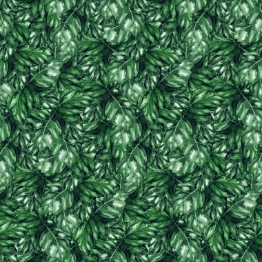 Suluboya yaprak yeşil tropikal egzotik bitki seamless modeli