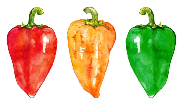 Watercolor sweet bell Bulgarian pepper vegetable set isolated — Stock Photo, Image