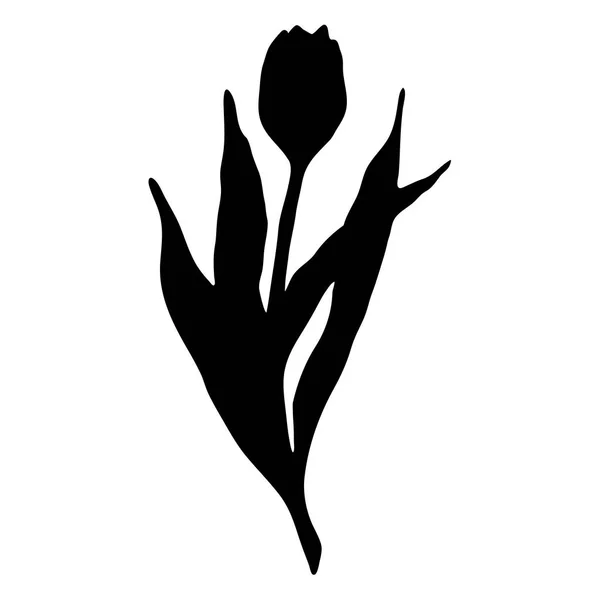 Monocromático preto tulipa primavera flor silhueta isolado vetor — Vetor de Stock