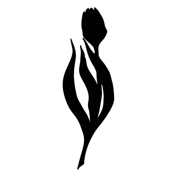 Monocromo negro tulipán primavera flor silueta aislado vector — Archivo Imágenes Vectoriales