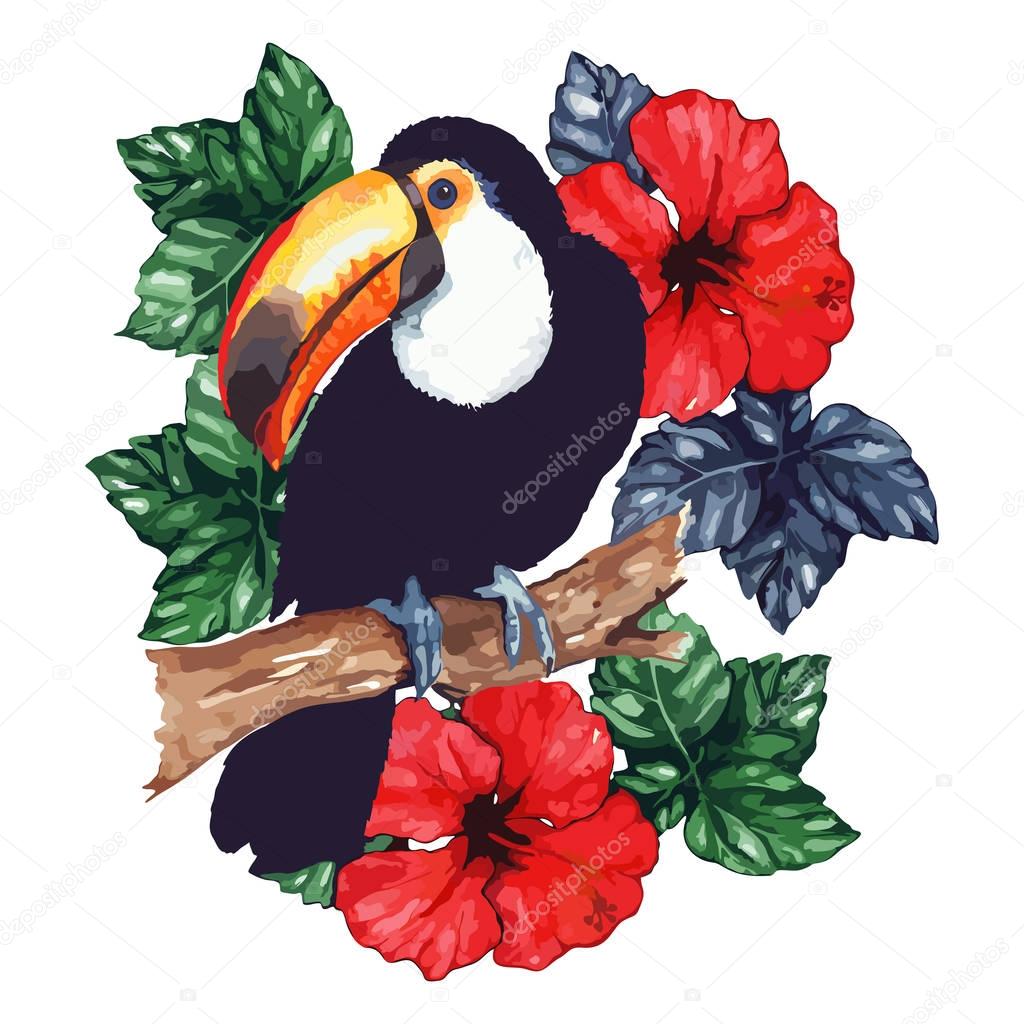 Watercolor exotic tropical animal bird toucan flower hibiscus isolated vector