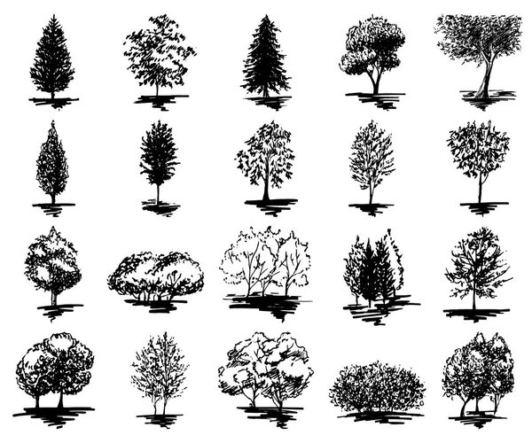 Monochrome tree silhouette sketched line art set isolated vector